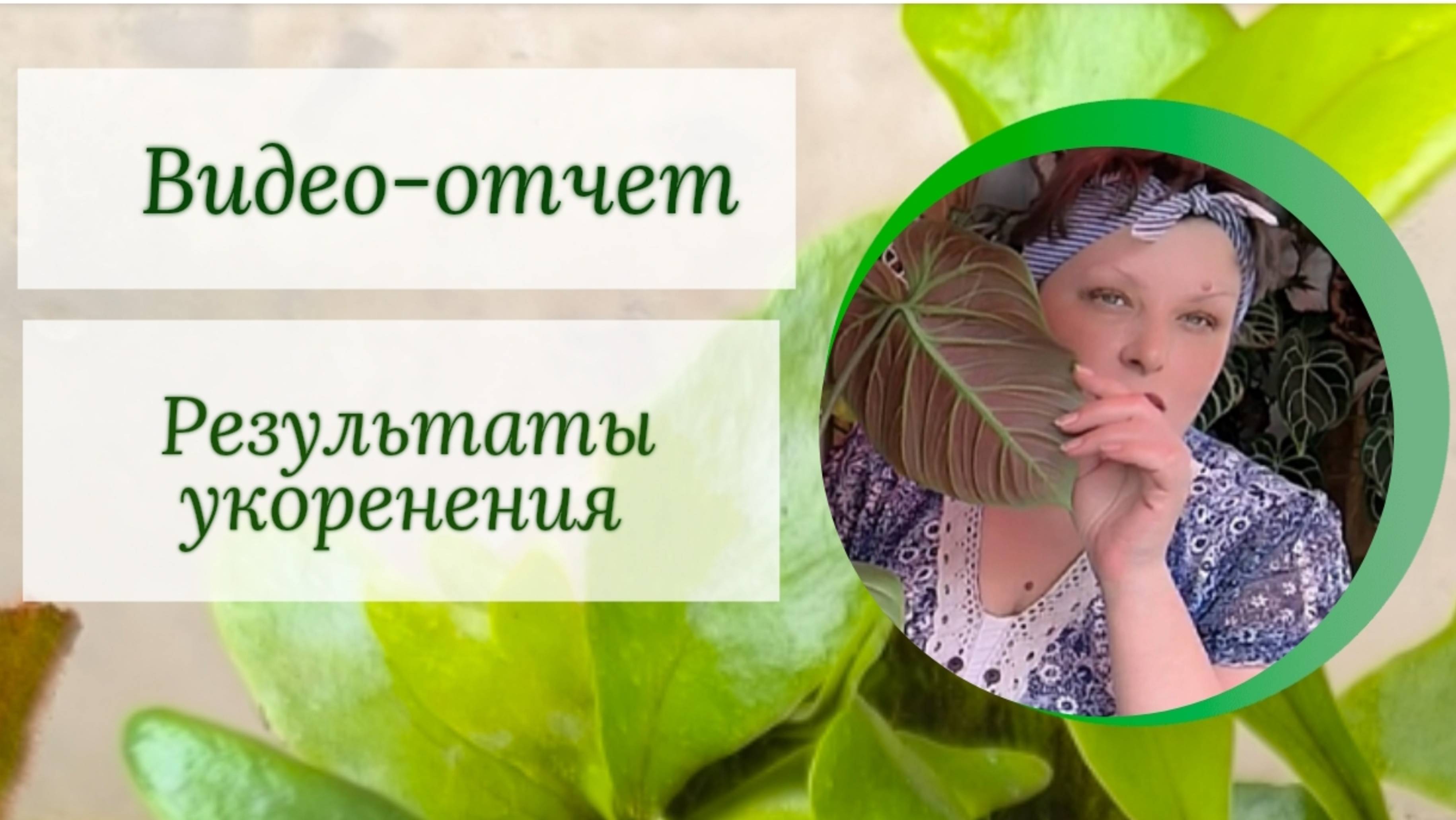 Видео-отчет. Результаты укоренения.