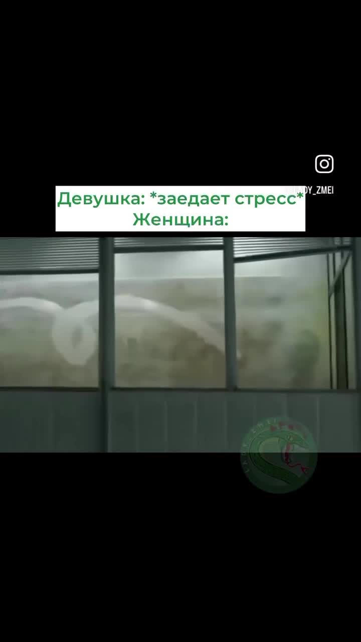 Мужчина танцует и убирается в рекламе Cillit Bang 🧽