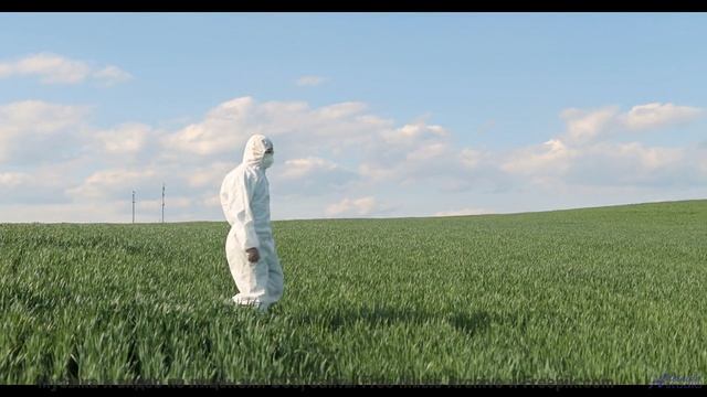 Эта музыка - причина, по которой вы свернули на ту просёлочную дорогу - Nosedive -- Taylor Poe -- Qu