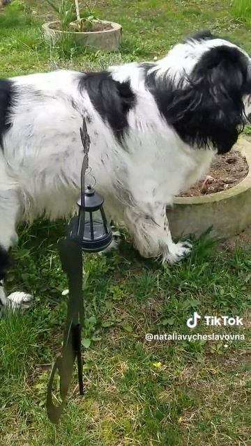 Новый фонарик...)))