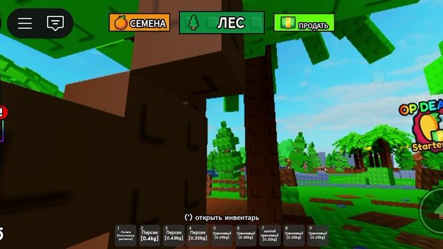 играю в роблокс в вырасти лес