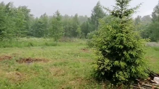 Дождь в Чисмене 16.06.25! Льет как из ведра!