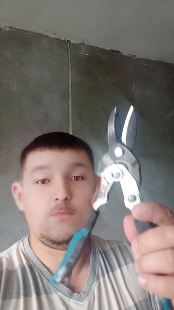 Новый помощник