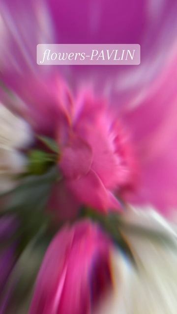 17-06-2025
