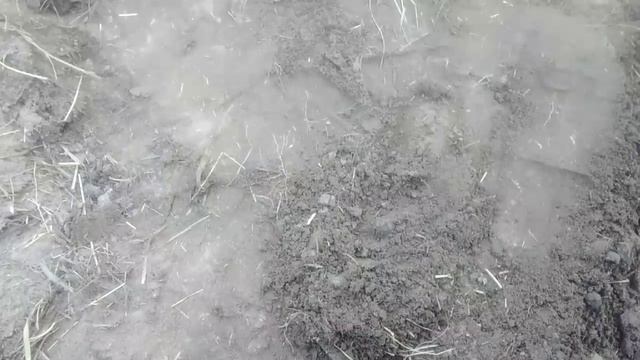 Ленивая грядка (делай раз)
