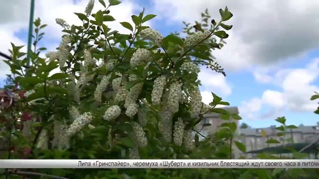 Новости дня - 15.05.25