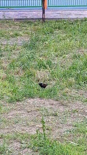 #счастье приходит изнутри наружу...