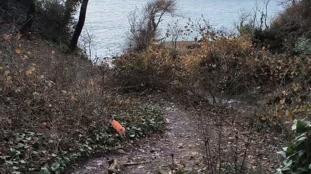 ГДЕ СНИМАЛИ ФИЛЬМ "БРИЛЛИАНТОВАЯ РУКА"
