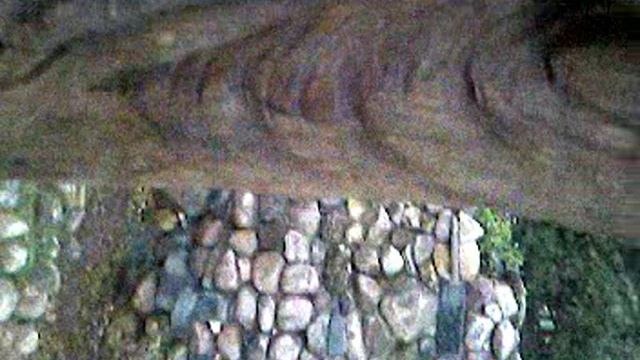 SV_A0011.mp4