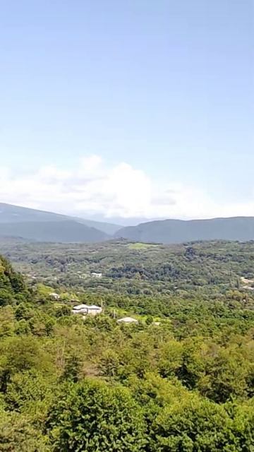 Село Дзыгута