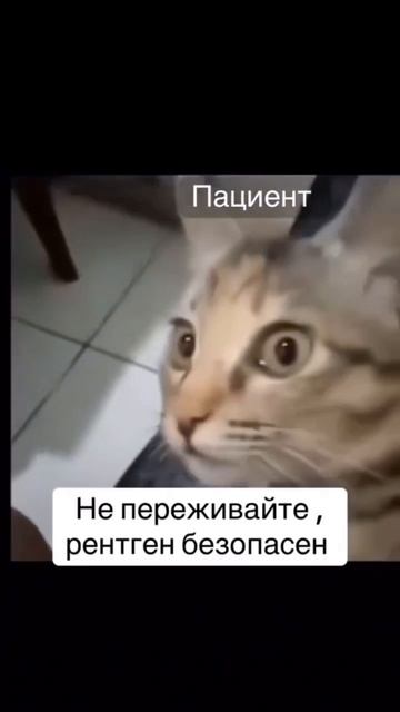 жизненно