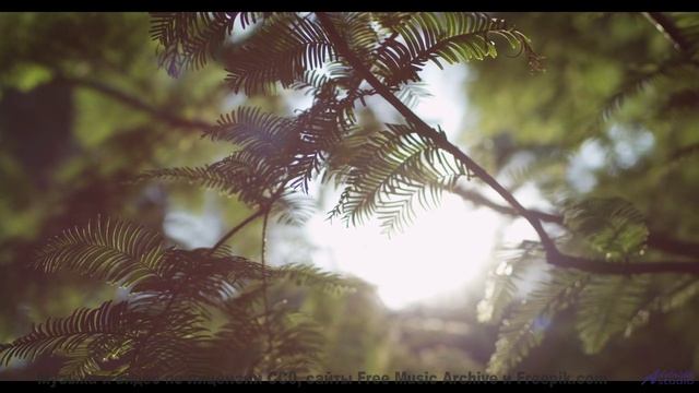 Дорога, рассвет и мелодия, которая звучит как биение ваших сердец - The Golden Hollows (ID 1395) --