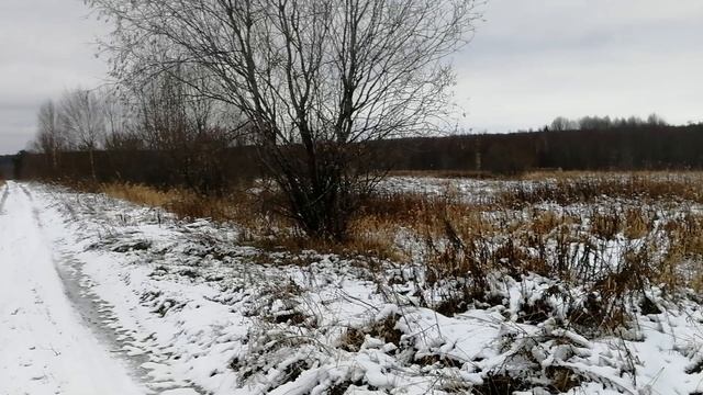 Паша 118 га Карпина Гора