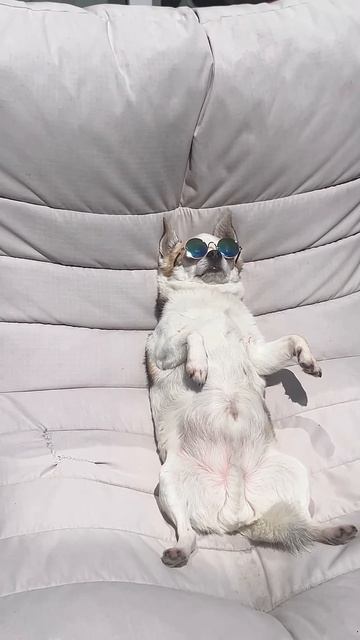 Классный фильм