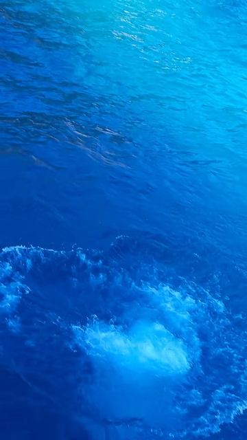 Бросилась  в море