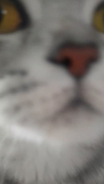 напишите пожалуйста  под это видео ком со фруктами , овощами и ягодами🍑🍊🍉🍇