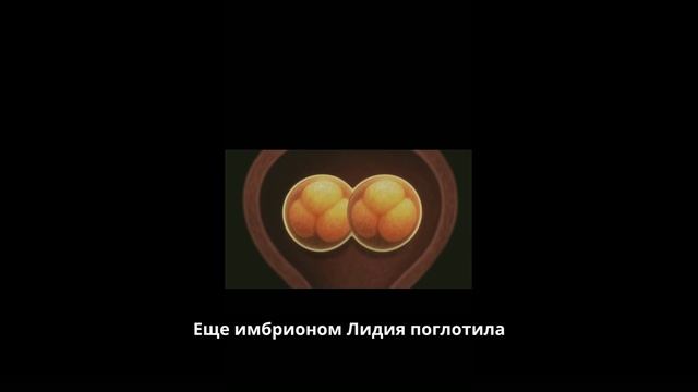 Генетическая химера