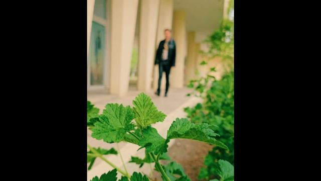 Владимир Волынкин и Шоу группа Вернисаж