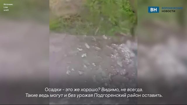 Град внезапно свалился на огороды в Воронежской области
