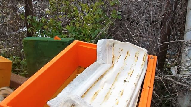 Как зимуют Пчелы в улье на 145 рамку