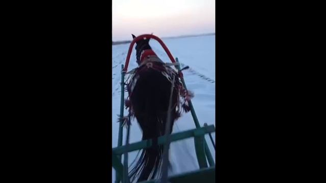 VID-20250615-WA0015