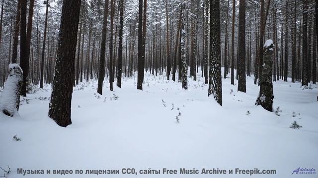 Леса звучат как песня, которую ждали всю жизнь - Walk in the Park -- Small Tall Order -- Easily