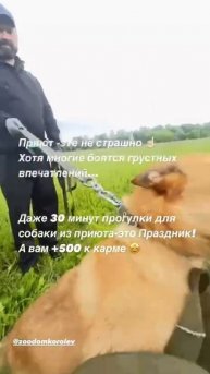 Великолепные Перси и Оливка