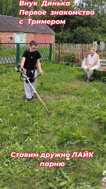 #Shorts Внук  Динька. Первое  знакомство с Тримером #домвдеревне