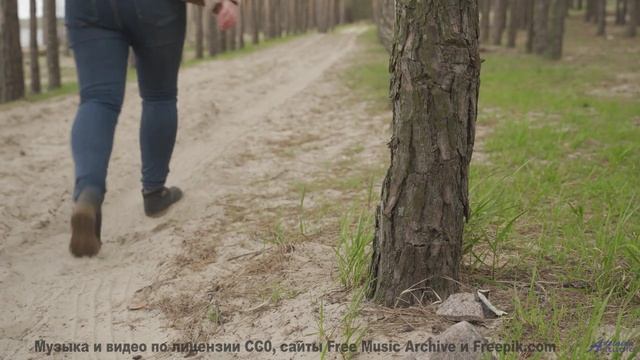 Музыка, которая звучит как голос океана! - no i dont -- Vincent Augustus -- No I Dont