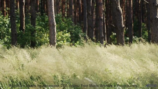 Это видео - как глоток свежего воздуха для души! - A Pleasant Dream -- Kirk Osamayo -- Season Two (G