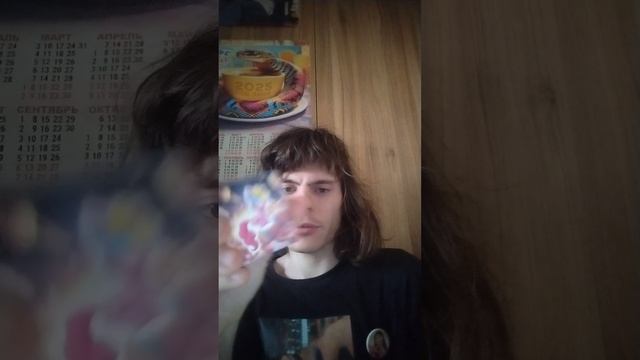 Обзор сосиски магниты скрипыши