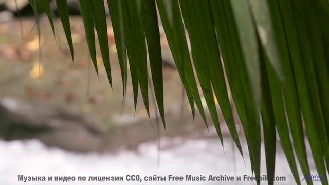 Никогда не видел таких полей под такой саунд - A Little Crazy -- Nicole Atkins -- Live at WFMU for S