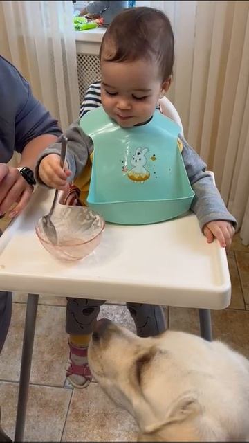 Сердечки любви на завтрак: Соня, Бэлла и ложка любви ❤