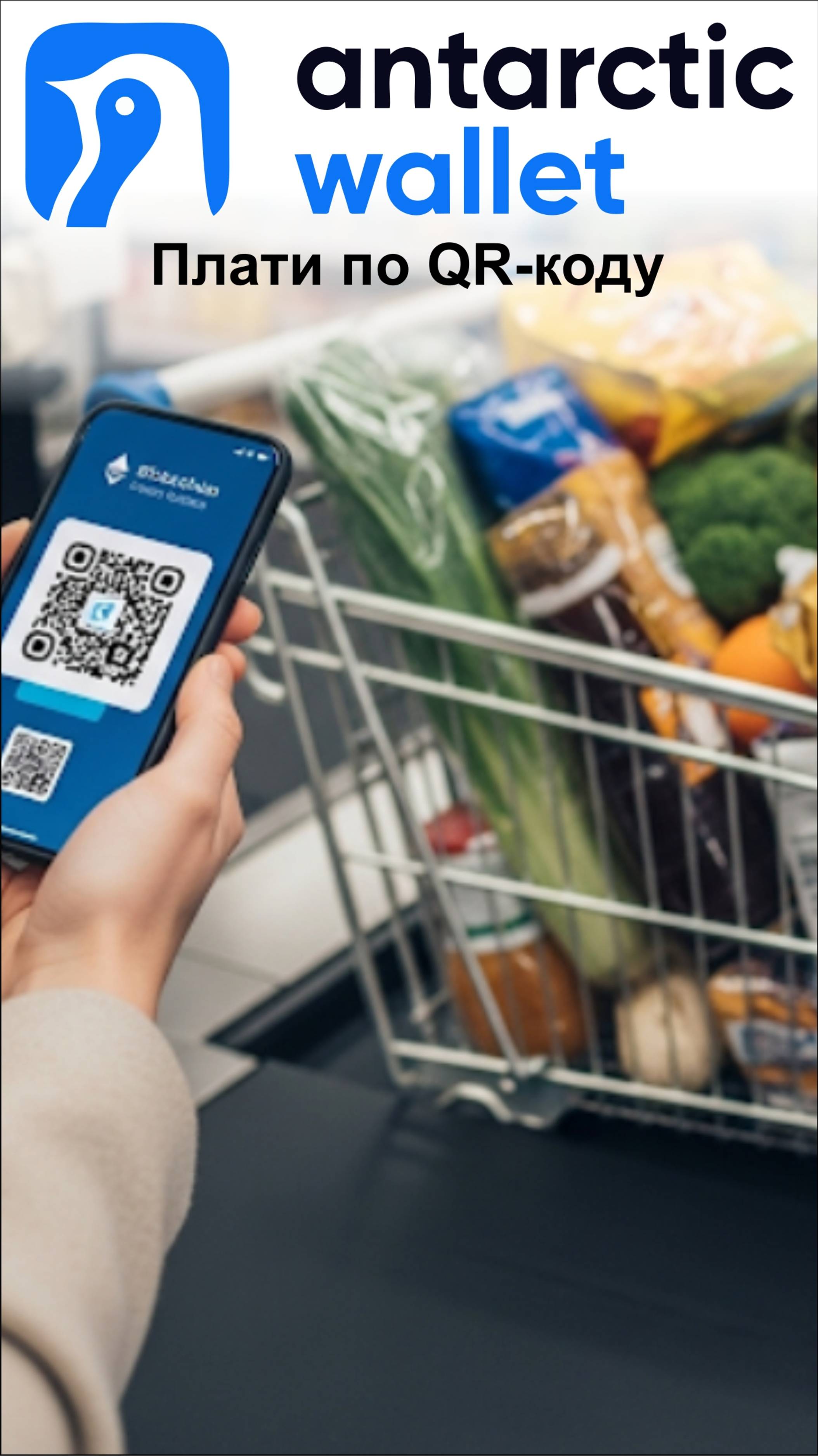 В Магните тоже можно оплтатить по QR-коду а не картой, из кошелька ANTARCTIC WALLET.