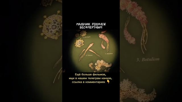Мальчик родился бессмертным