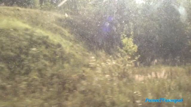 Где-то в Рязанской области #природа #лес