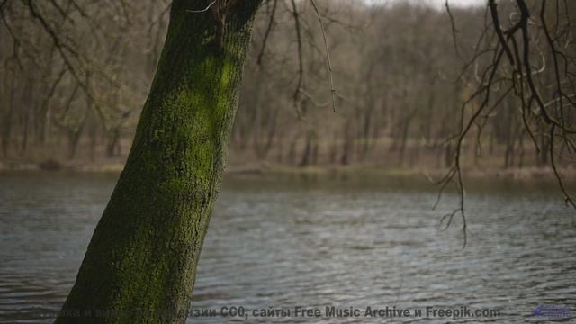 Мелодия, которую слышно только в полночь. - New World -- Kirk Osamayo -- Season Two (GREEN)