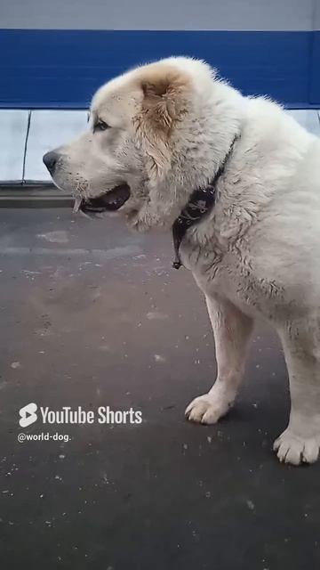 1000003154.mp4