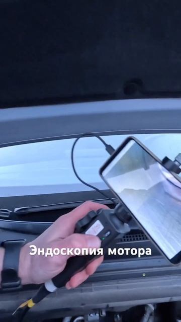 Когда масло меняешь чаще, чем требует регламент. #автоподборкупитачку #kia #ceed #автоподбор #мотор