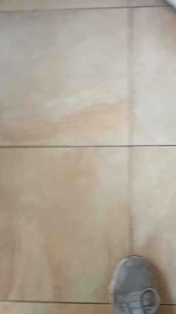 VID_20250616_172628