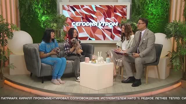 СЕГОДНЯ УТРОМ #7354, 16 июня 2025