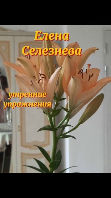 #evenaselezneva#утренниеупражнения