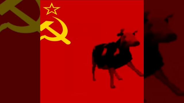 Корова поёт гимн СССР