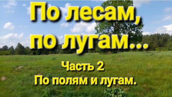 По лесам, по лугам...Часть 2.По полям и лугам.