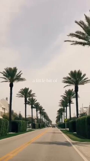scene_output.mp4