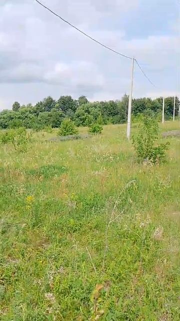 земельный участок