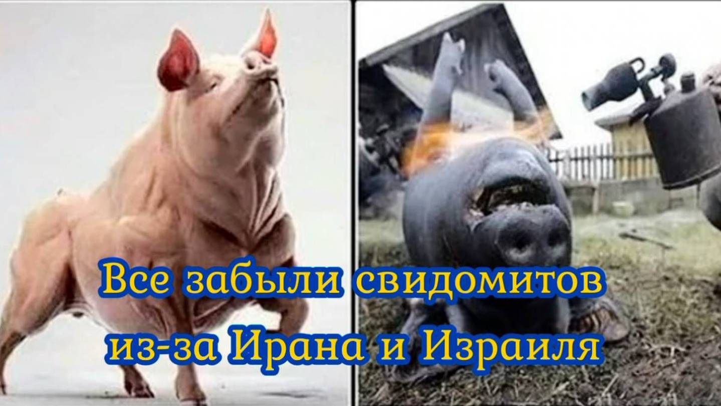 Все забыли свидомитов из-за Ирана и Израиля