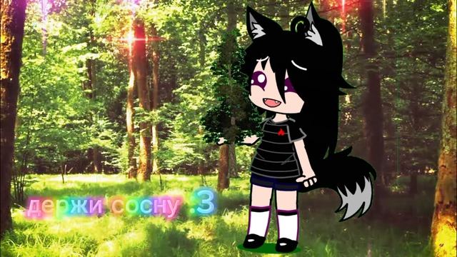 держи сосну :3