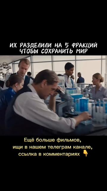 Их разделили на 5 фракций чтобы сохранить мир