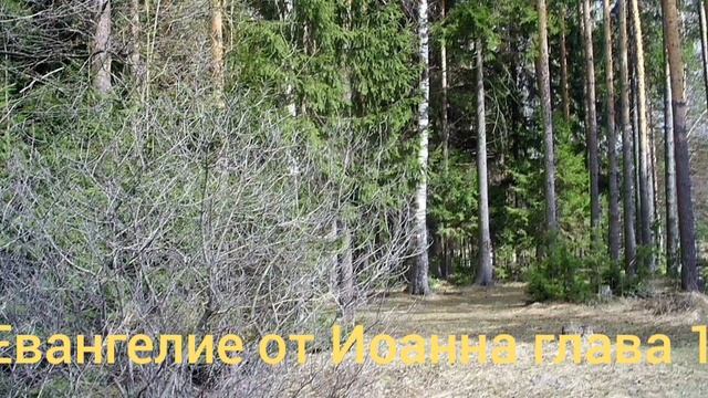 Библия Евангелие от Иоанна глава 18